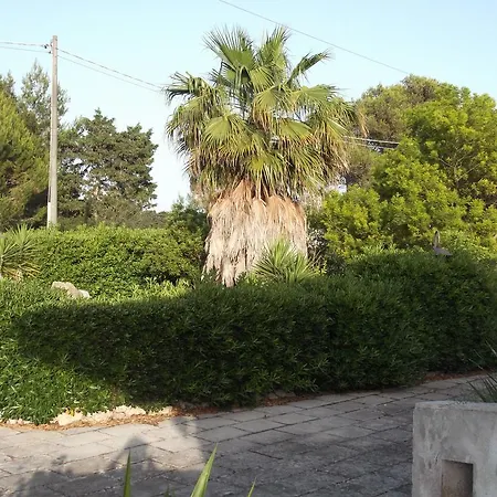 Farm stay Agriturismo La Moro