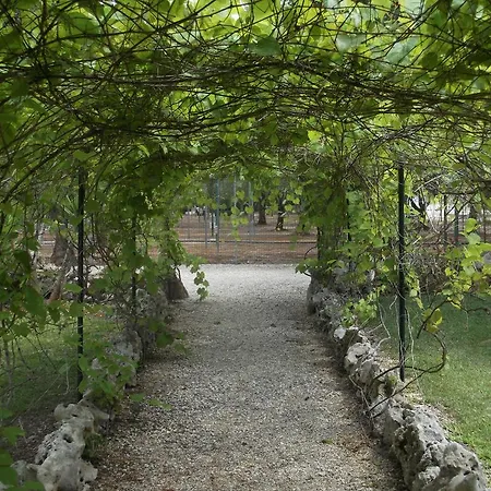 Farm stay Agriturismo La Moro *